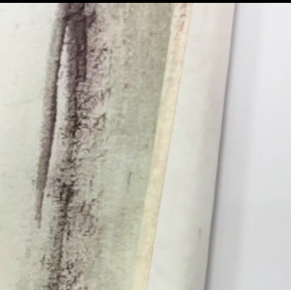 Big Japanese Mountain Scenery Cherry Trees Wall Tapestry Asian Nature Scene New - Picture 5 of 5